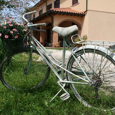 Agriturismo Diciocco Вентурина-Терме Екстер'єр фото