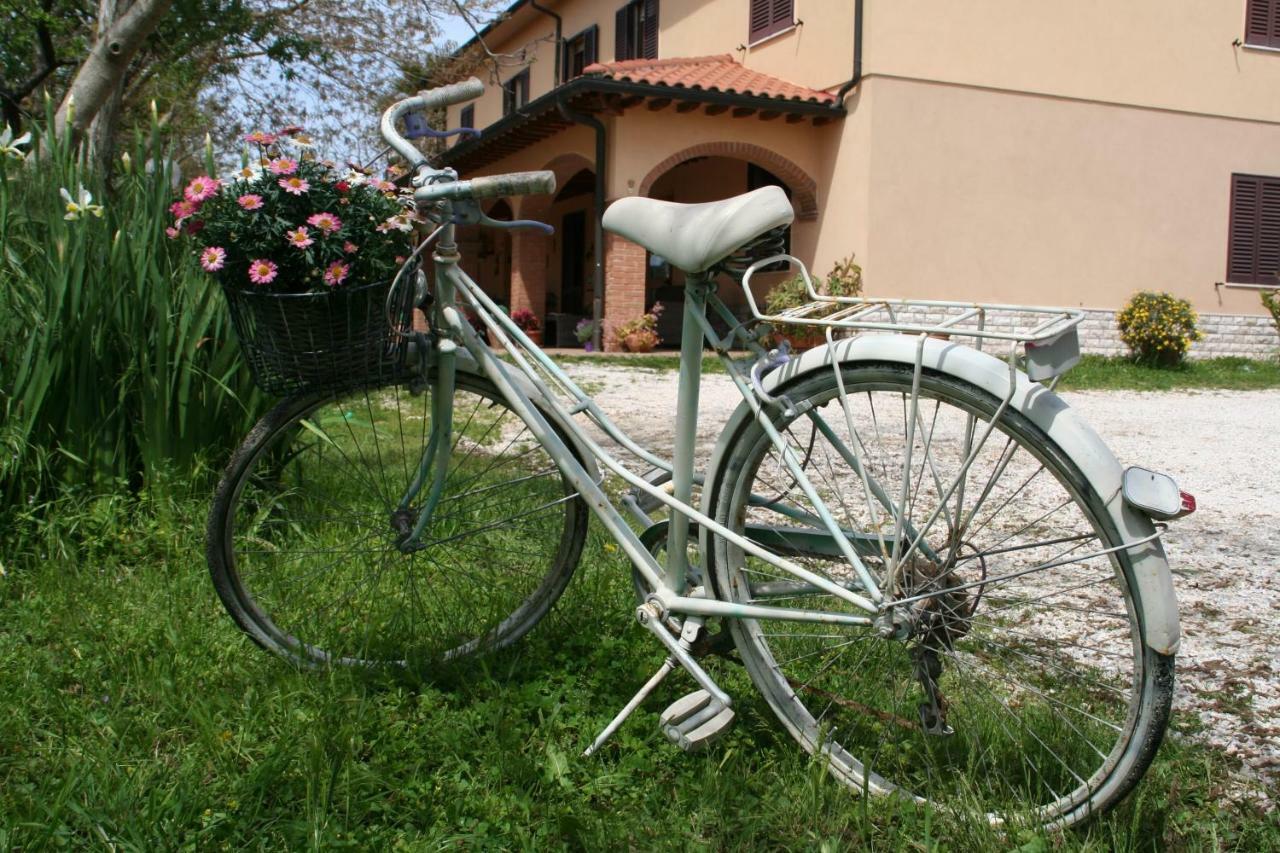 Agriturismo Diciocco Вентурина-Терме Екстер'єр фото