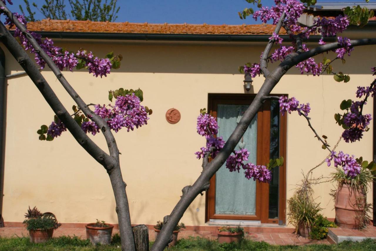 Agriturismo Diciocco Вентурина-Терме Екстер'єр фото